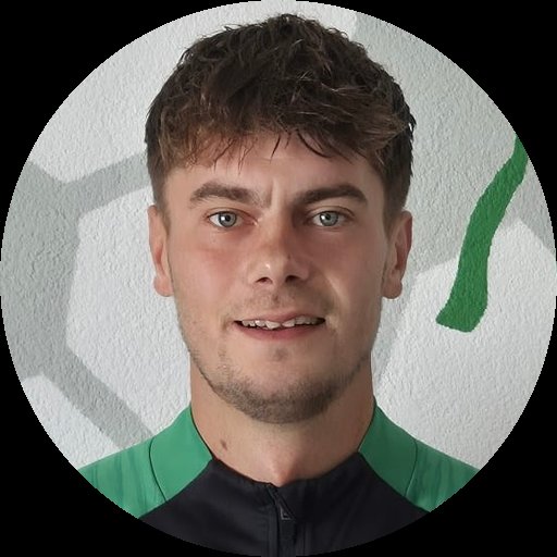 Wesley van Merkestein